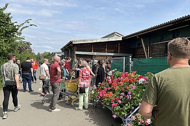 Besucher*innen beim Pflanzenverkauf im Ausbildungsbereich Zierpflanzenbau