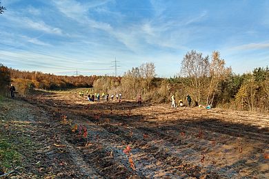 Baumpflanzaktion: Blick auf das bepflanzte Gebiet