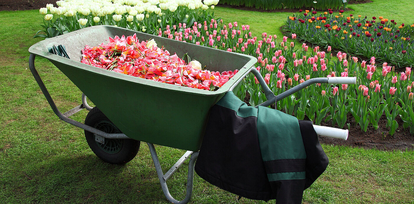 Drei neue Ausbildungsberufe