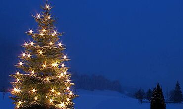 Weihnachtsbaum im Schnee