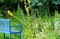 Blaue Bank in einem Garten